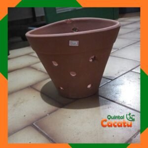 vaso para orquídea